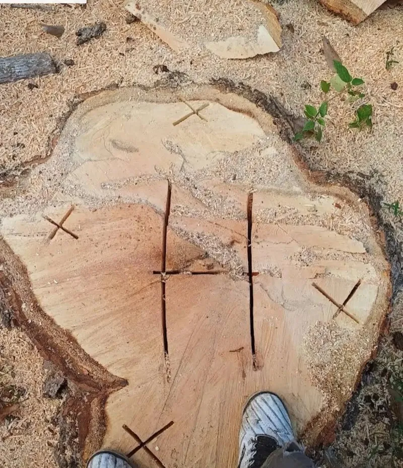 Harry Nature Service